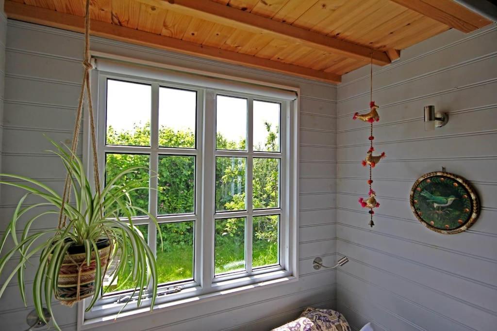 뷰드 Tiny House On Isolated Farm By The Cornish Coast 빌라 외부 사진